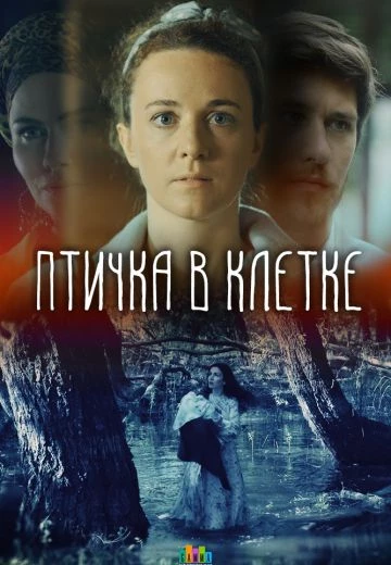 Птичка в клетке