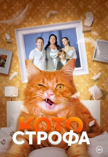 Котострофа 2 сезон